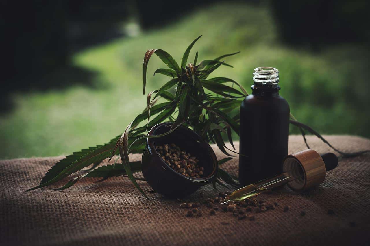 מתי משתמשים במוצרי CBD ומהם הסוגים השונים