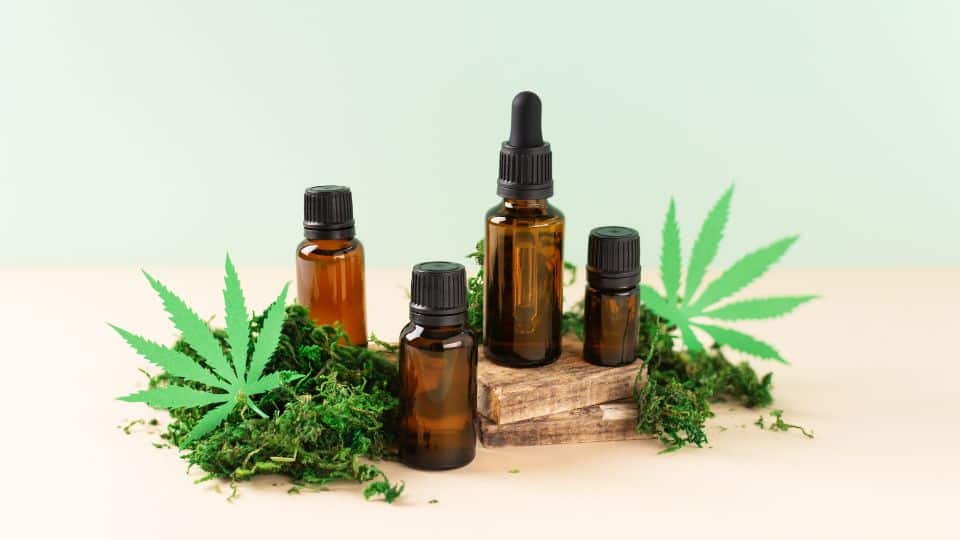 האם שמן CBD מתאים גם לחיות?