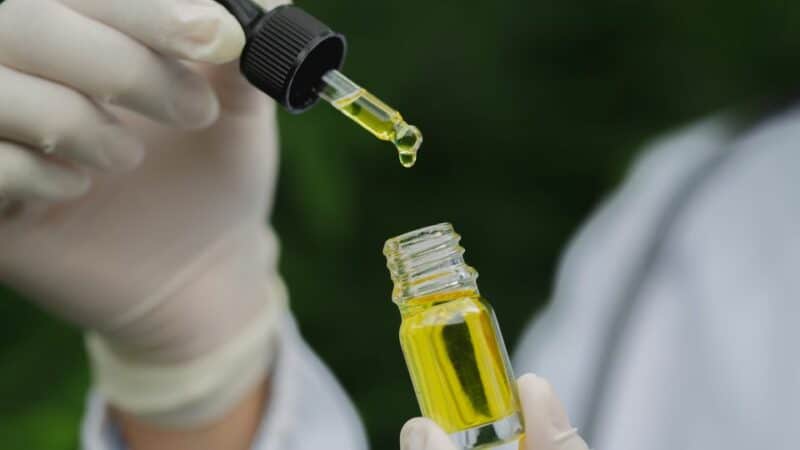 שמן CBD