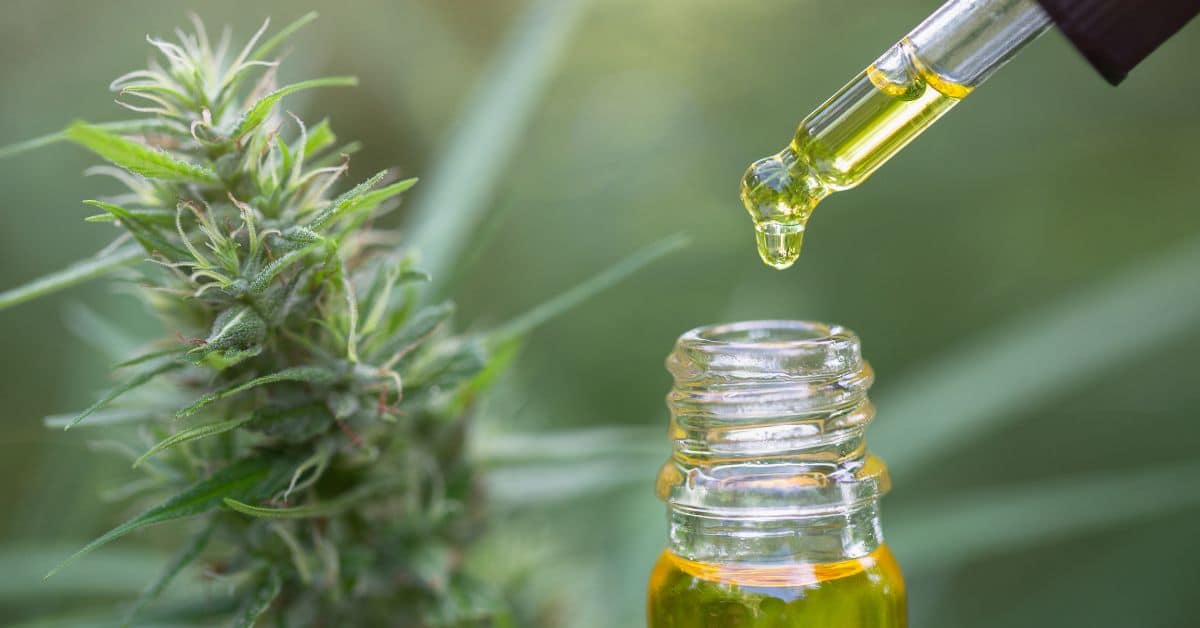משהו שמן CBD והאם הוא עוזר לכאבים?